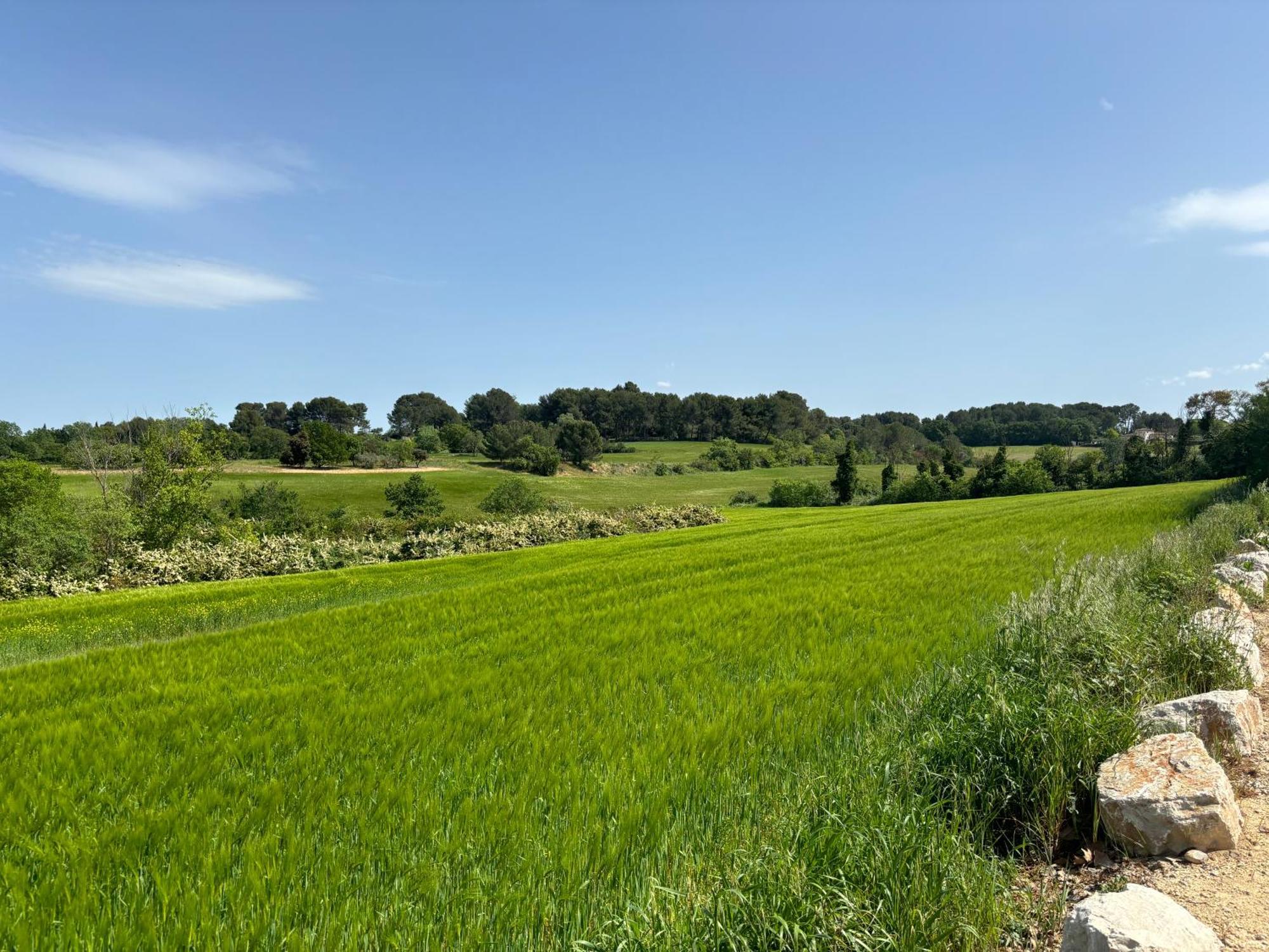 Havre De Paix Au Sein D'Un T3 D'Une Bastide Aixoise Aix-en-Provence Eksteriør bilde